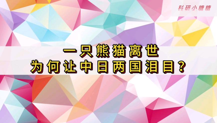 中国汽车商品出口增长显著,2025老澳门历史开奖记录,全面解答解释落实_黄金版V13.47